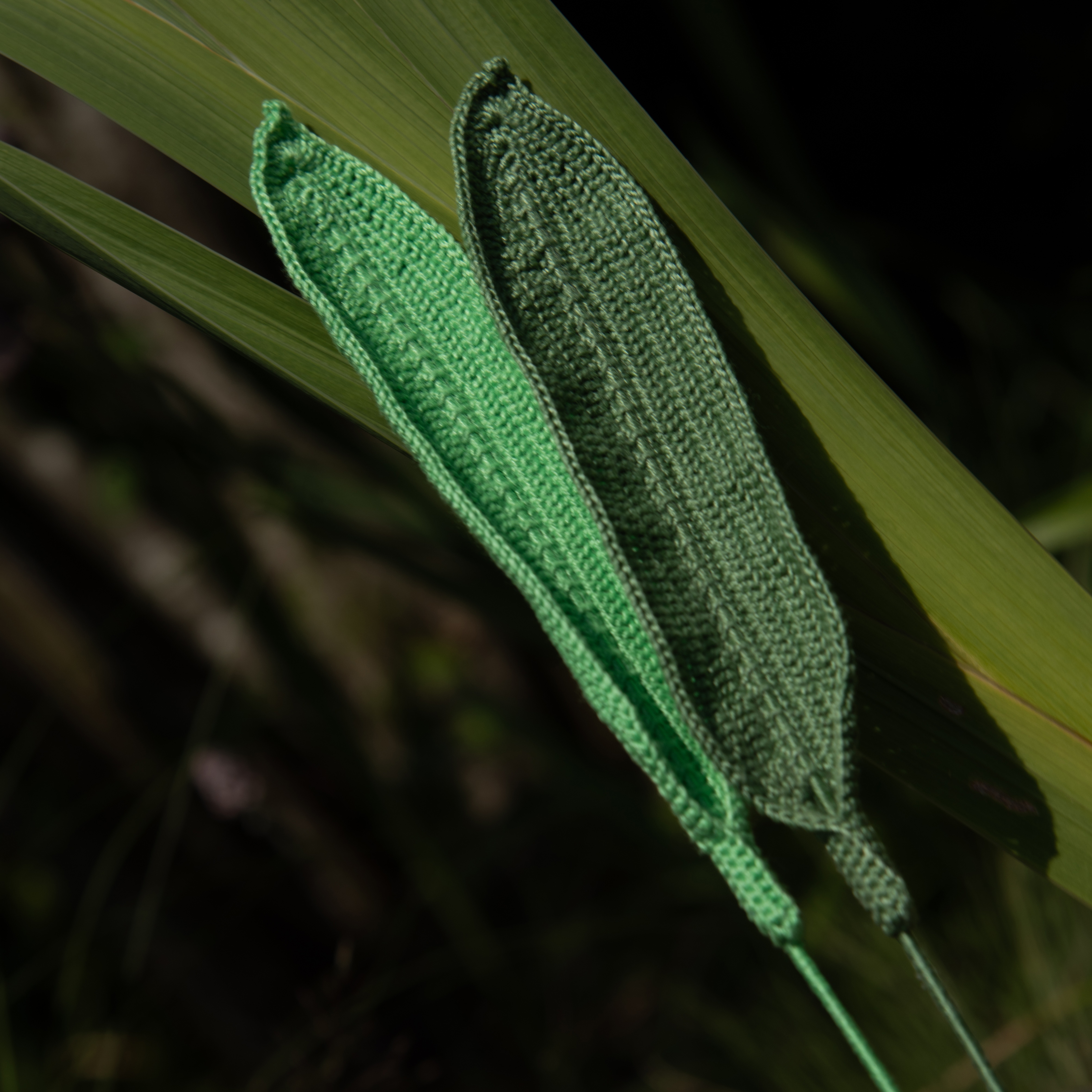 Creation 12