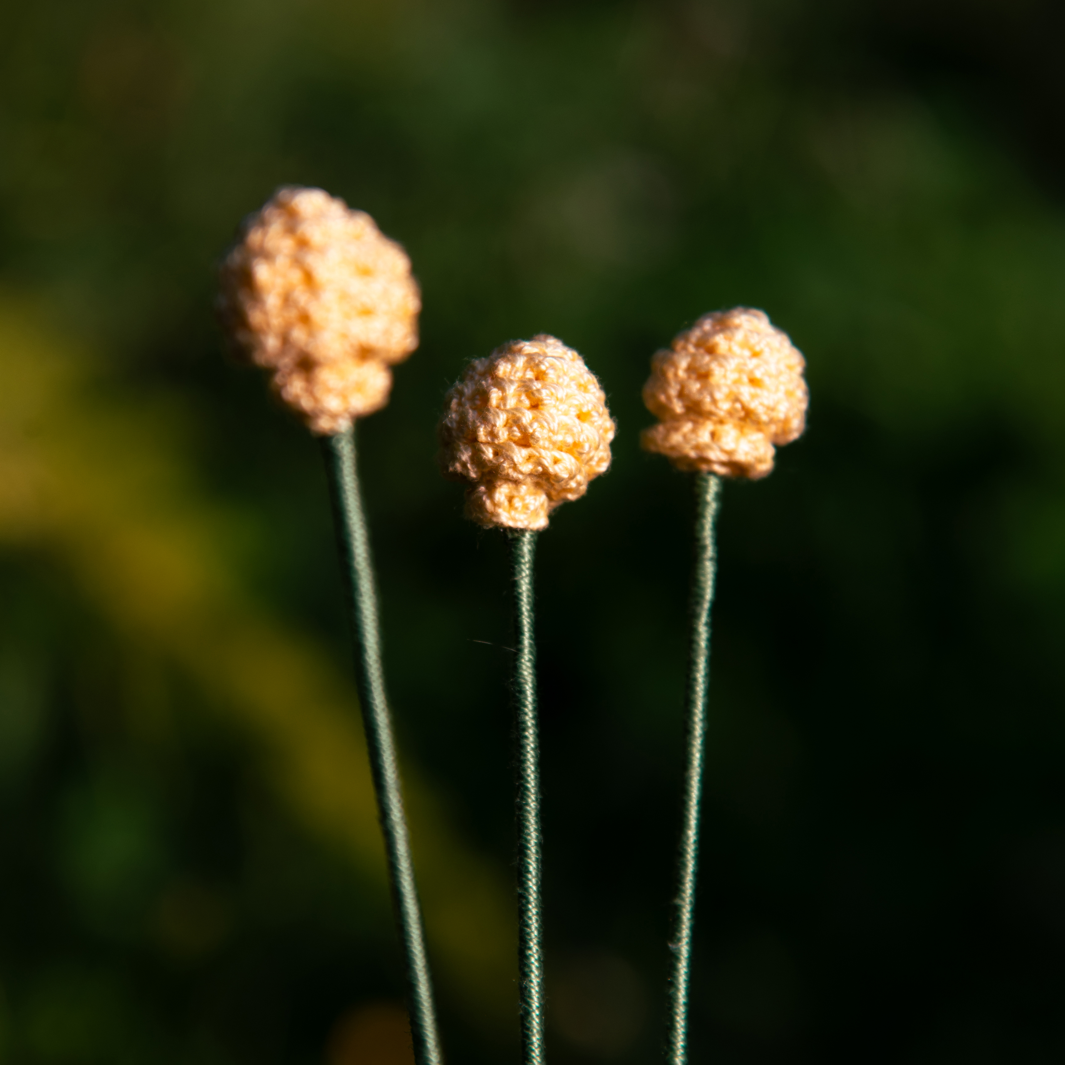 Creation 12